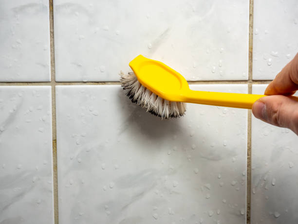 Best Toxic Mold Removal  in Mammoth Lakes, CA