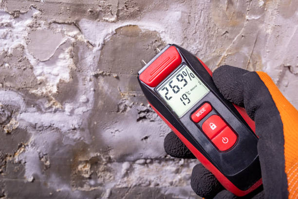 Best Mold Removal Company Near Me  in Mammoth Lakes, CA