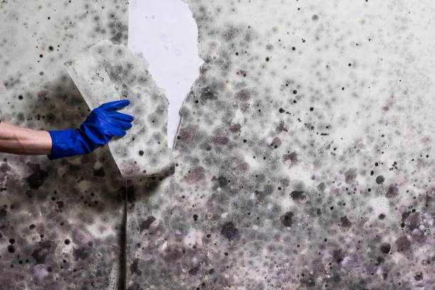 Water Damage Restoration in Mammoth Lakes, CA